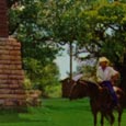 Postcard, Water Tower, Abilene State Park, c. 1950