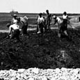 Construction of the Dam, Bonham State Park, 1934