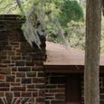 Group Pavilion, Buescher State Park, 2008