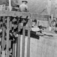 Formwork, Mission Nuestra Señora de Espíritu Santo de Zúñiga Reconstruction, Goliad State Park, 1935 - 1941