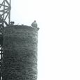 Intake Tower Construction, Tyler State Park, c. 1940